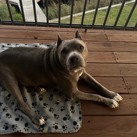 LIVE SHOW! - Picture 11 of 16